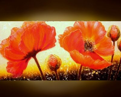 Red poppies 18