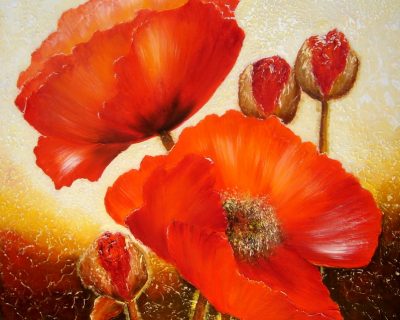 Red poppies 8