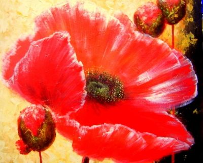 Red poppies 11