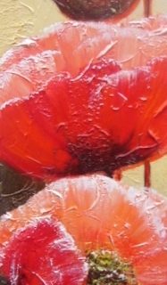Red poppies 6